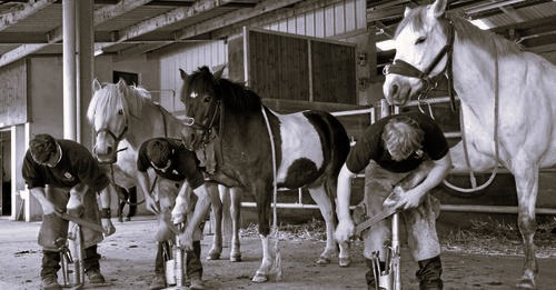l'équipe des trois maréchaux l'équipe des trois maréchaux