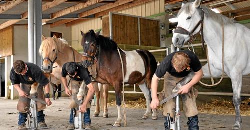 Les 20 ans de l'entreprise Les 20 ans de l'entreprise